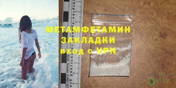 ПСИЛОЦИБИНОВЫЕ ГРИБЫ Осинники