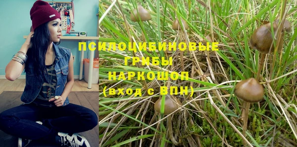 прущая мука Арсеньев