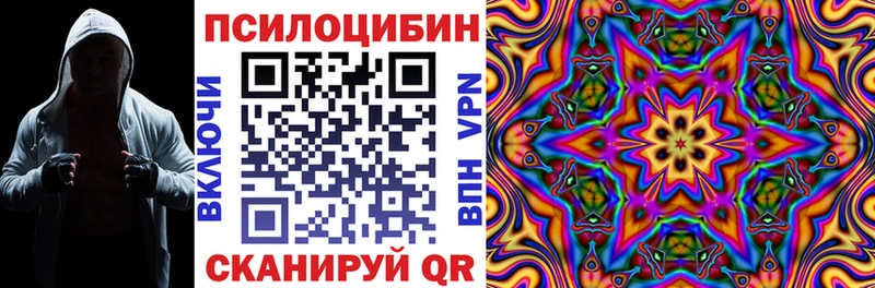 Галлюциногенные грибы Psilocybe  Купить закладки  Балей 